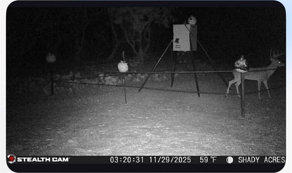 8108 Fm2111 Winters, TX 79567 - Photo 29 of 39 unknown