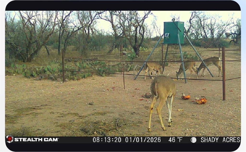8108 Fm2111 Winters, TX 79567 - Photo 30 of 39 a view of outdoor space and yard