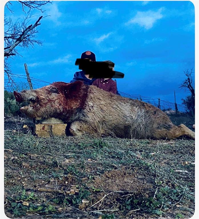 8108 Fm2111 Winters, TX 79567 - Photo 39 of 39