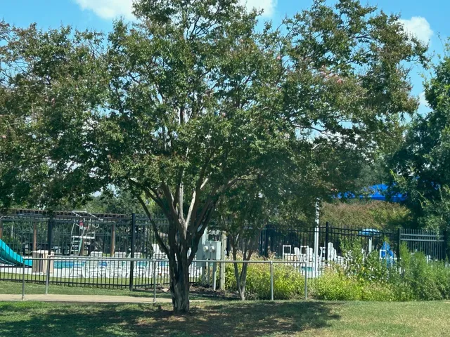 a view of a park with large trees