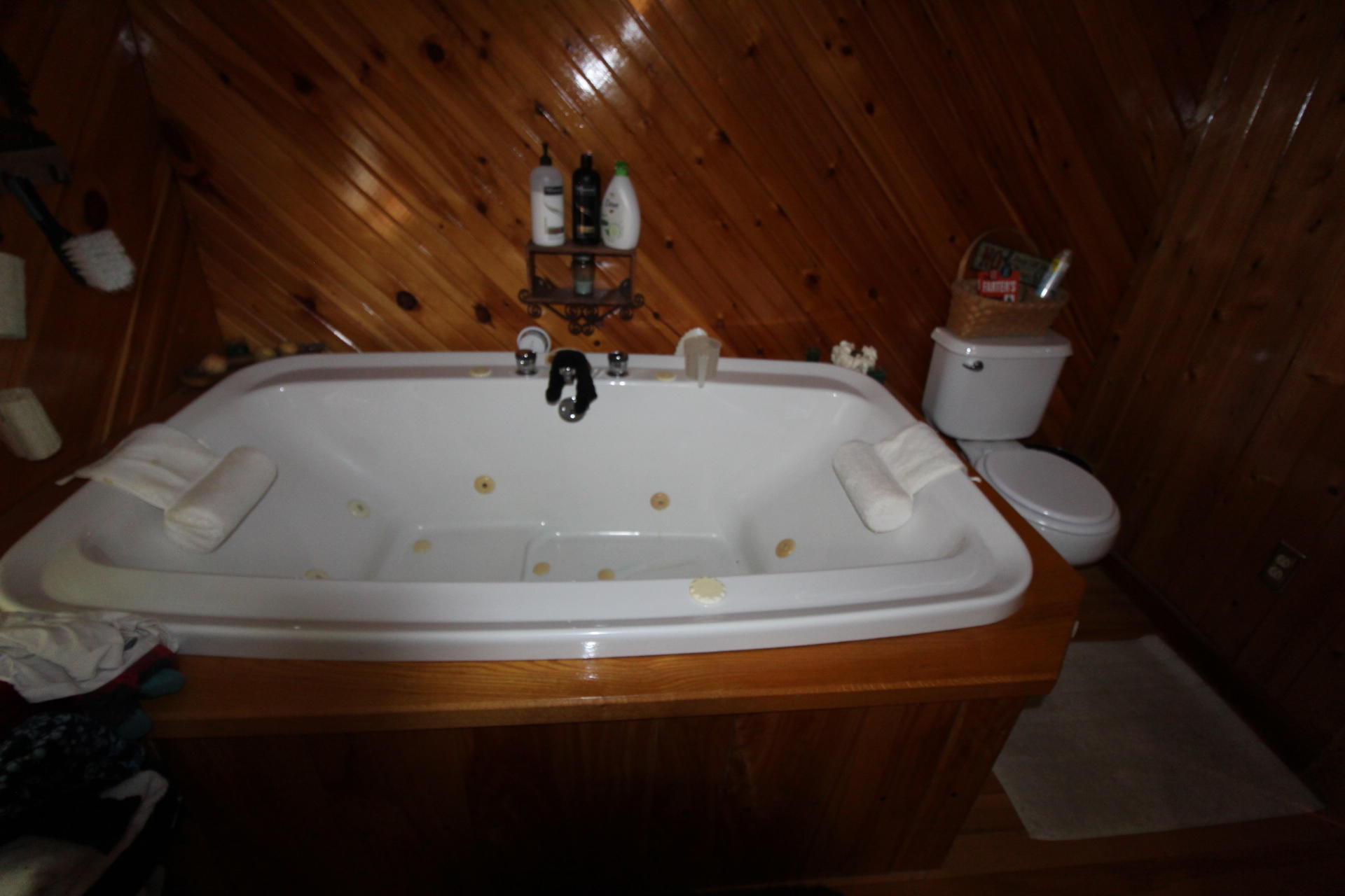 1489 Belfast Road Knox, ME 04986 - Photo 53 of 83 1489 Belfast Road Knox Lori Merolla (96)