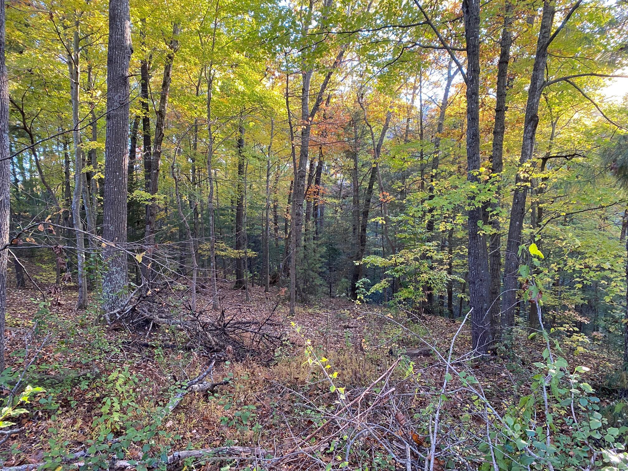 57 Journeys End Road Wellington, KY 40387 - Photo 20 of 73 8-Ext-12