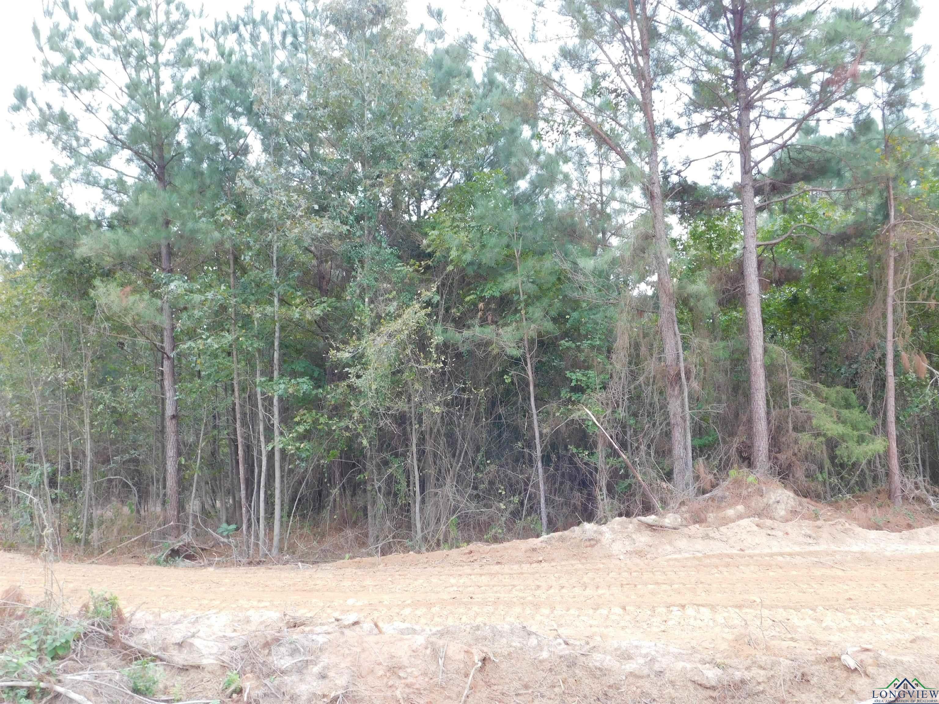 27 Forget Me Not Road Longview, TX 75605 - Photo 2 of 6 Gallery Image 2