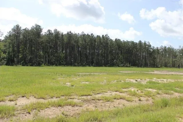 $62,000 | 24755-b-1 24755-b-1 442nd Highway, Independence, LA 70443