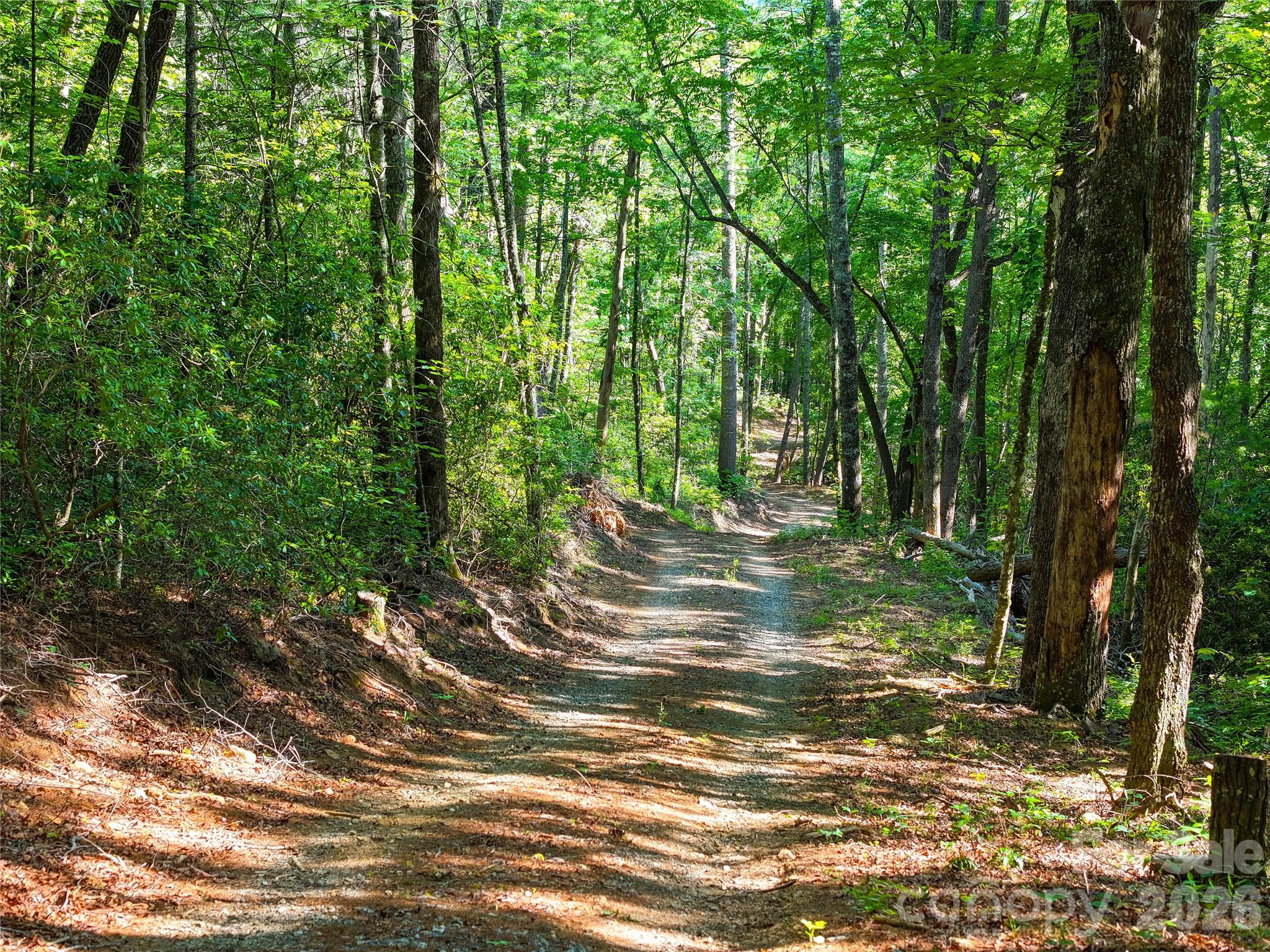 4017 Canada Road Tuckasegee, NC 28783 - Photo 10 of 46
