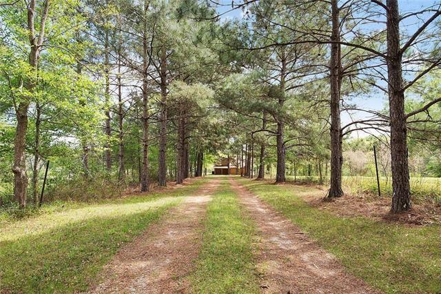 19472 Hilton Crowe Road Franklinton, LA 70438 - Photo 3 of 10 Gallery Image 3