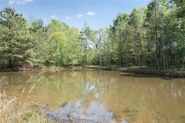 19472 Hilton Crowe Road Franklinton, LA 70438 - Photo 9 of 10 Gallery Image 9