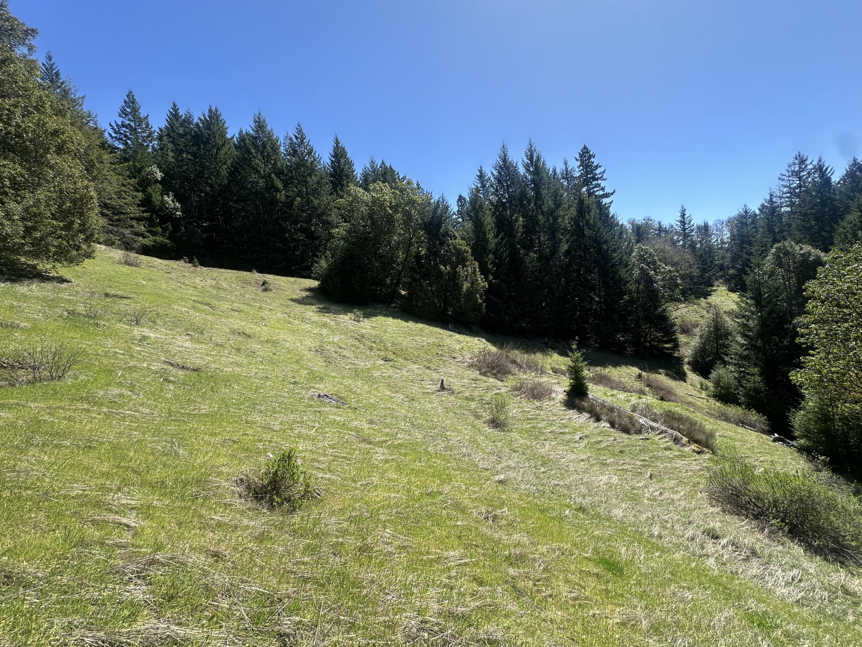 19624 Dyerville Loop Road Myers Flat, CA 95554 - Photo 9 of 9