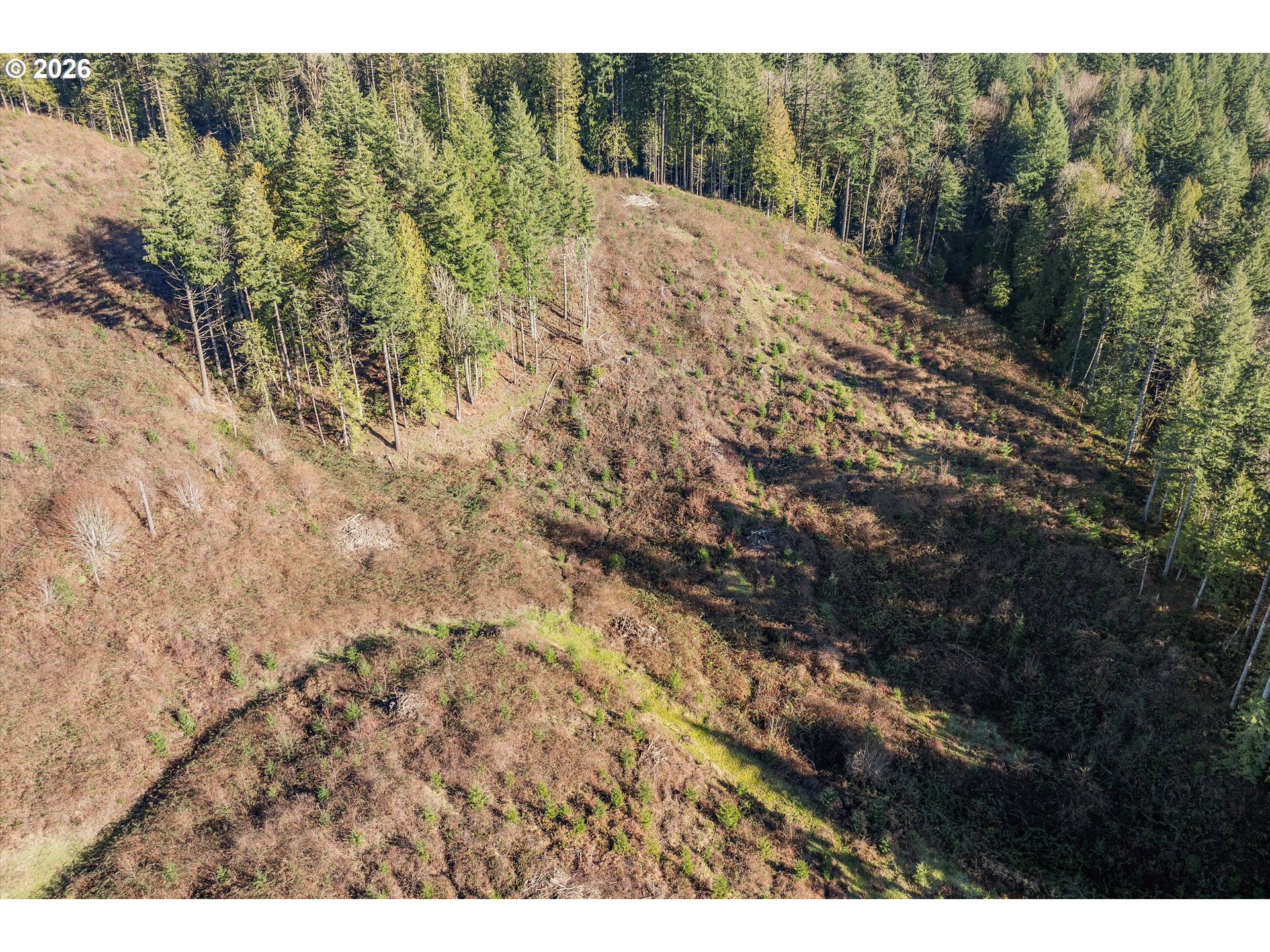 16424 Northwest Rock Creek Road Portland, OR 97231 - Photo 12 of 41