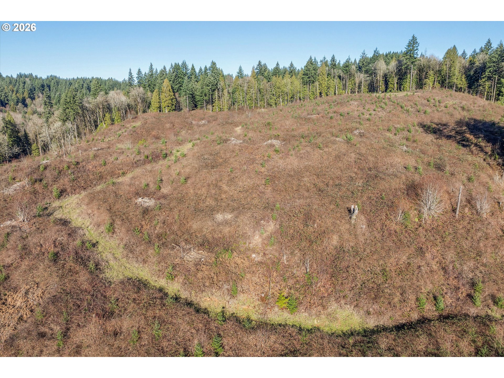 16424 Northwest Rock Creek Road Portland, OR 97231 - Photo 13 of 41