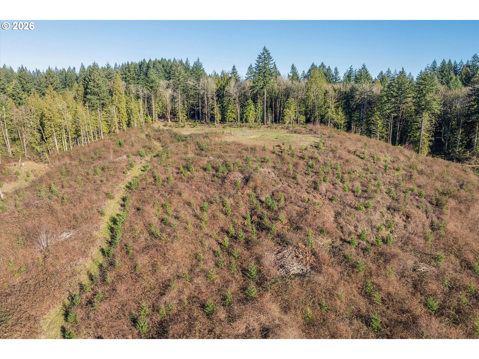 16424 Northwest Rock Creek Road Portland, OR 97231 - Photo 14 of 41