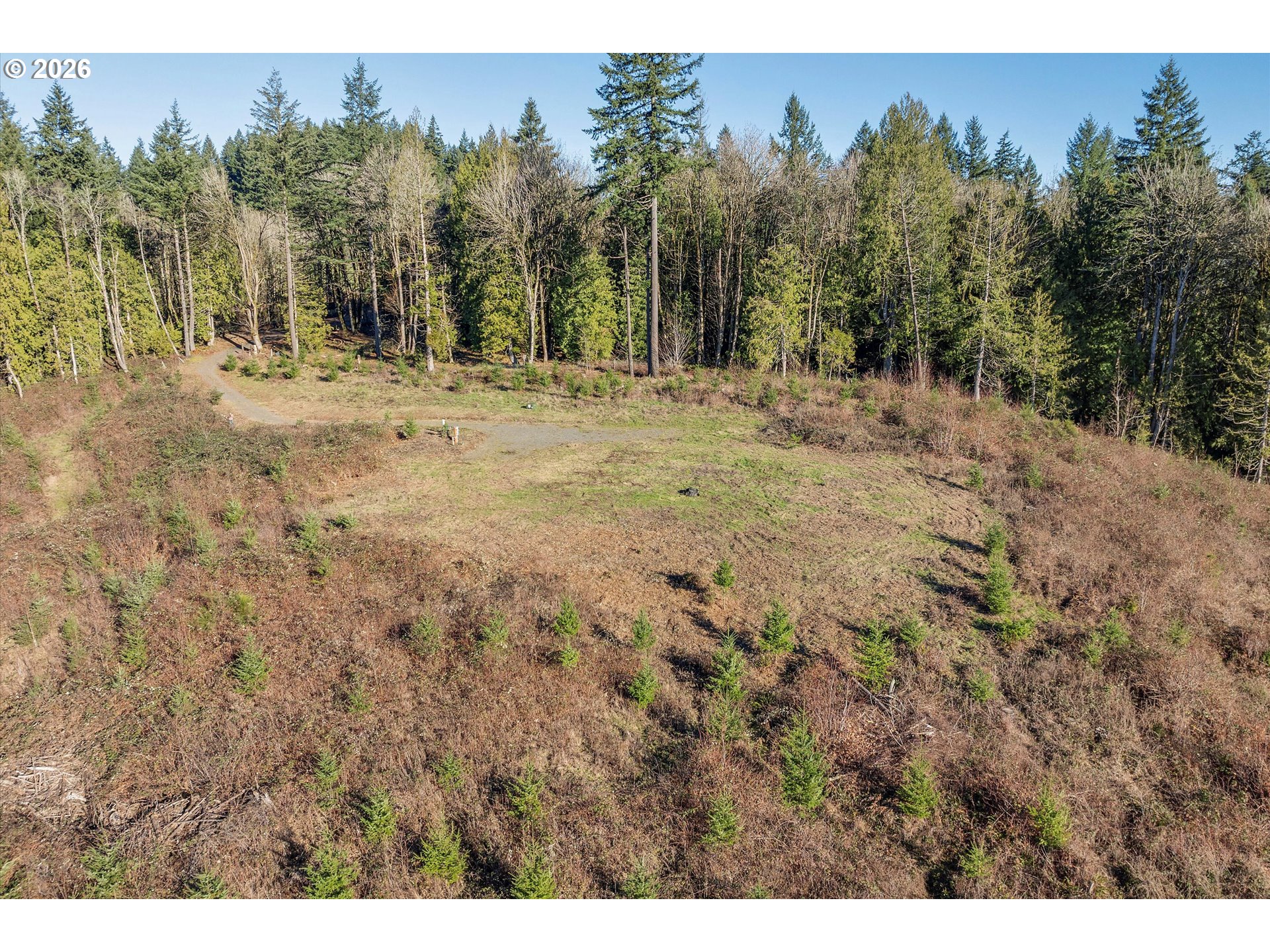 16424 Northwest Rock Creek Road Portland, OR 97231 - Photo 15 of 41