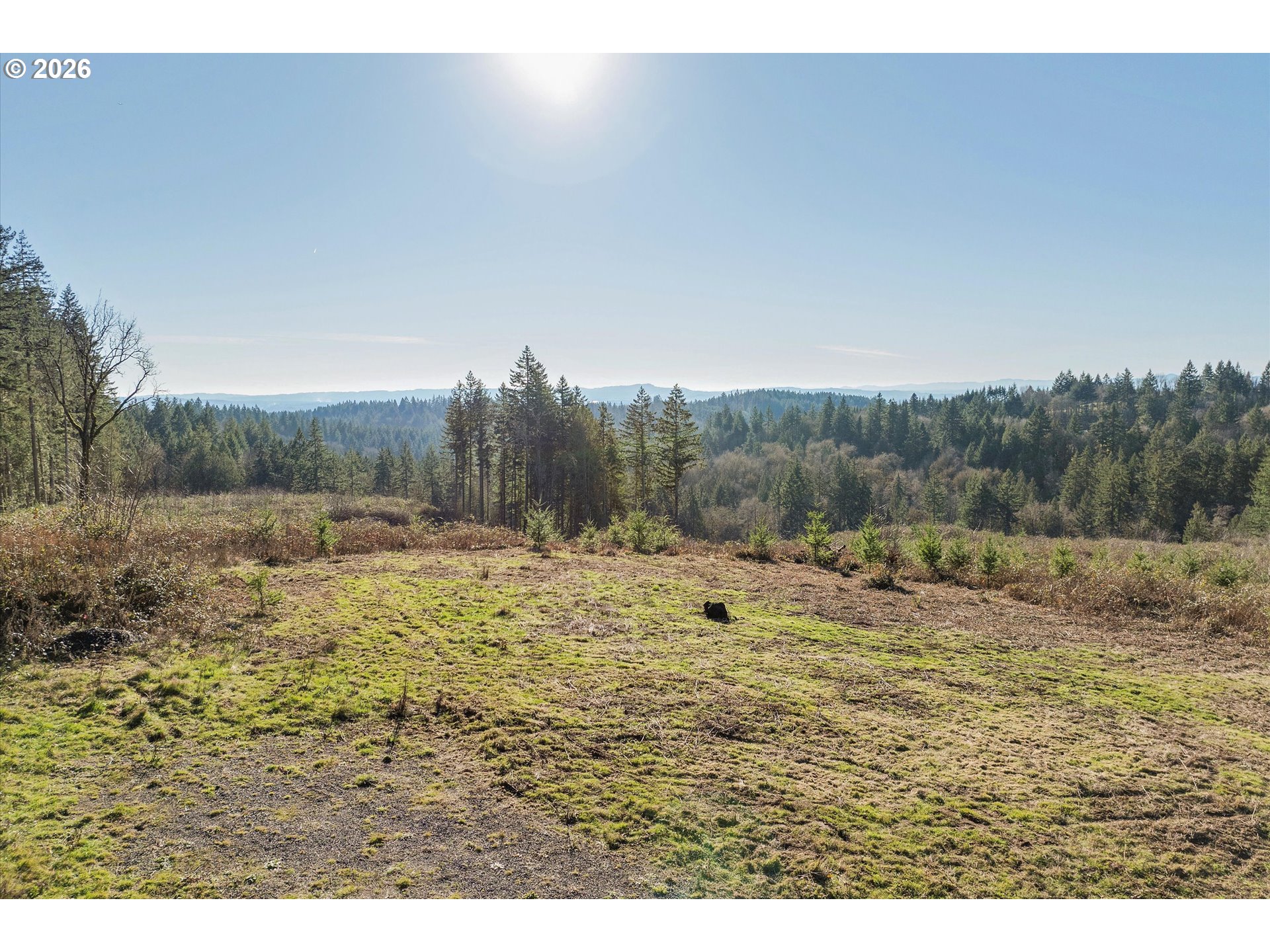 16424 Northwest Rock Creek Road Portland, OR 97231 - Photo 18 of 41