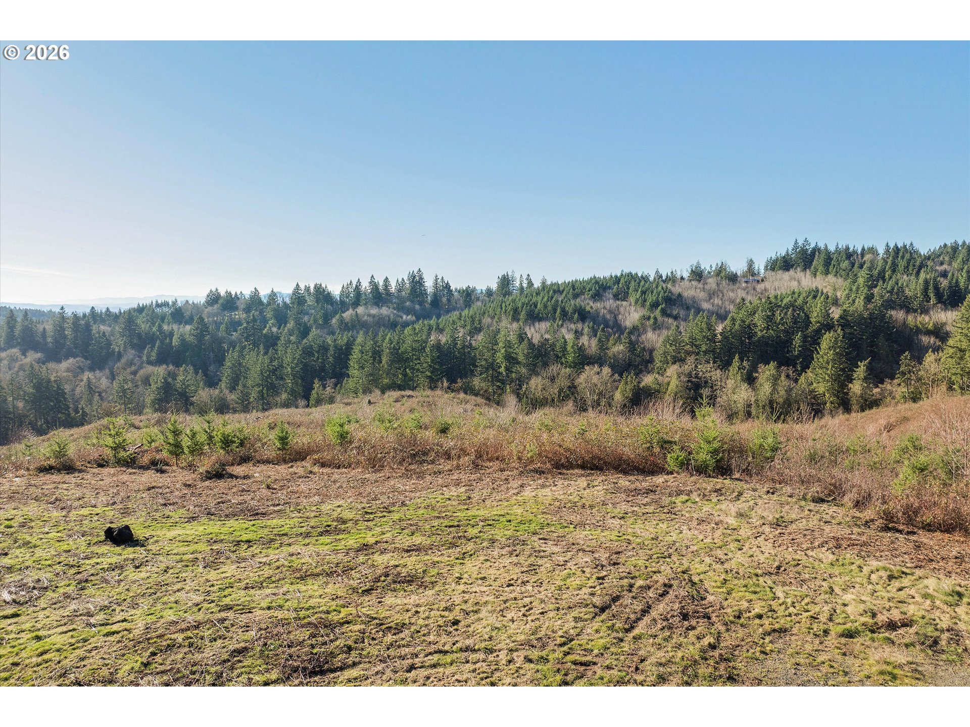 16424 Northwest Rock Creek Road Portland, OR 97231 - Photo 19 of 41