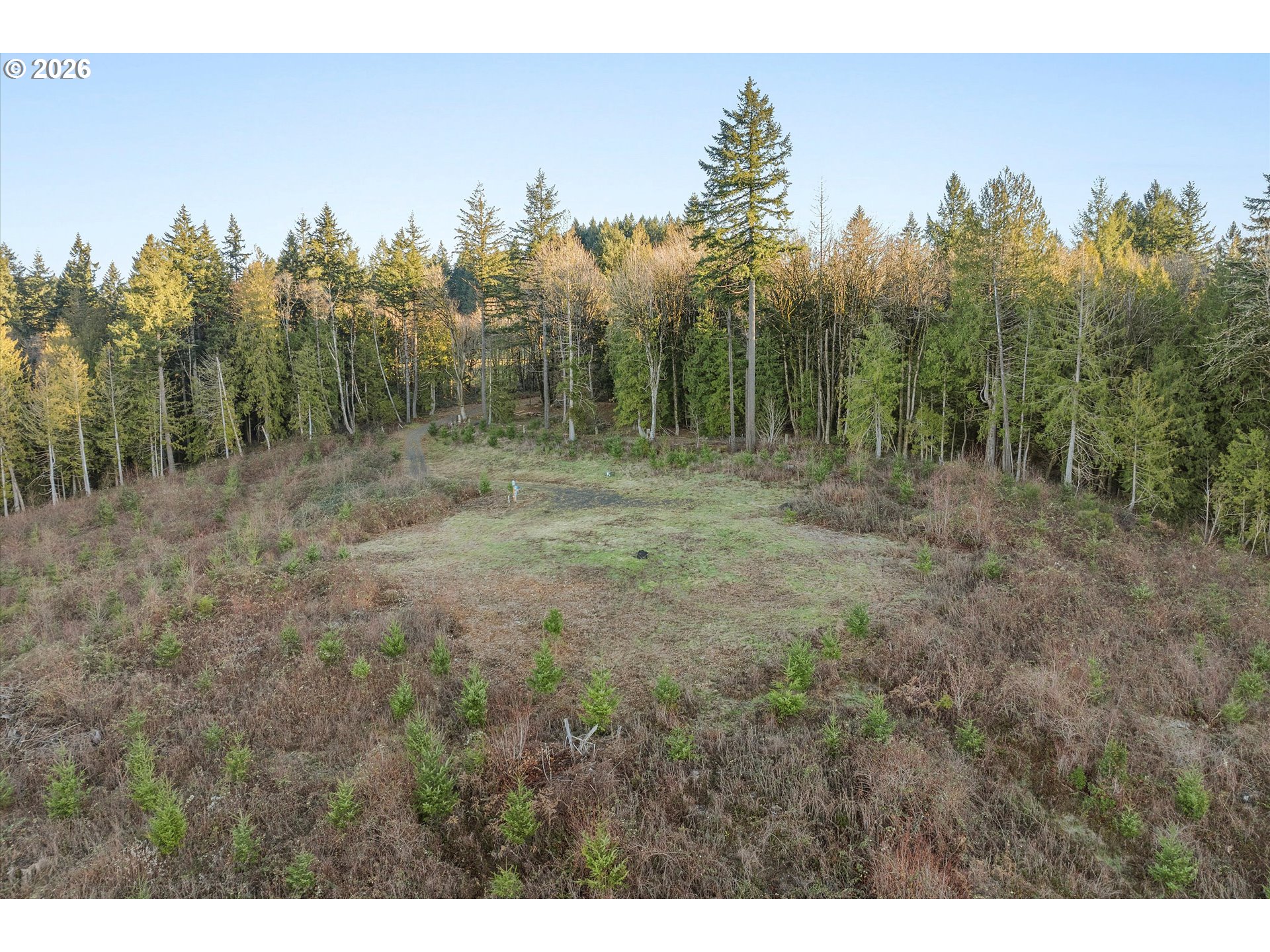 16424 Northwest Rock Creek Road Portland, OR 97231 - Photo 21 of 41