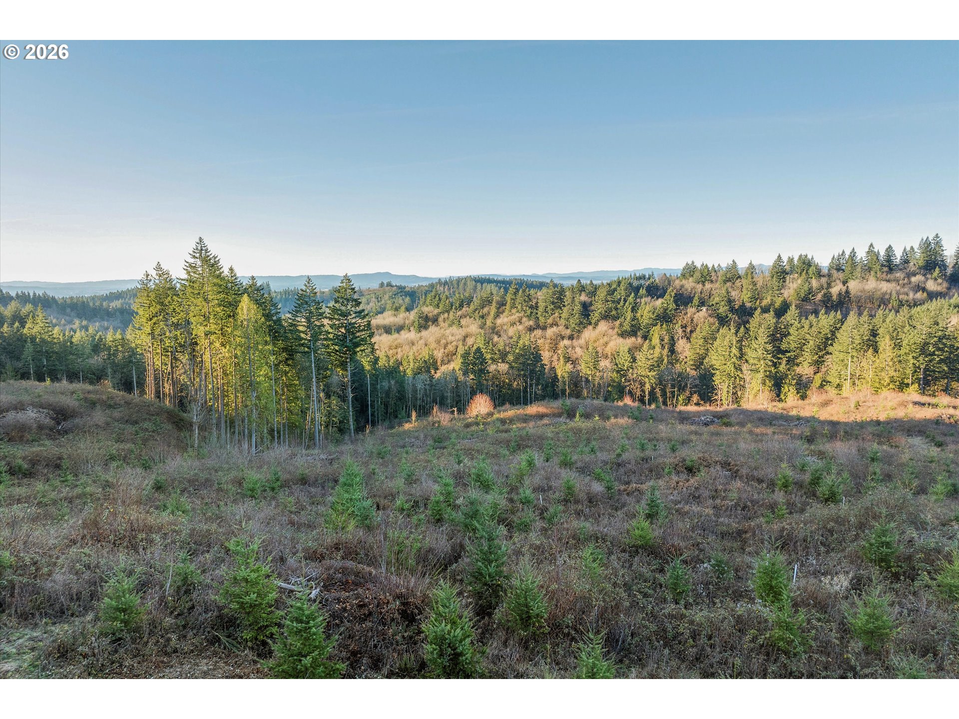 16424 Northwest Rock Creek Road Portland, OR 97231 - Photo 26 of 41