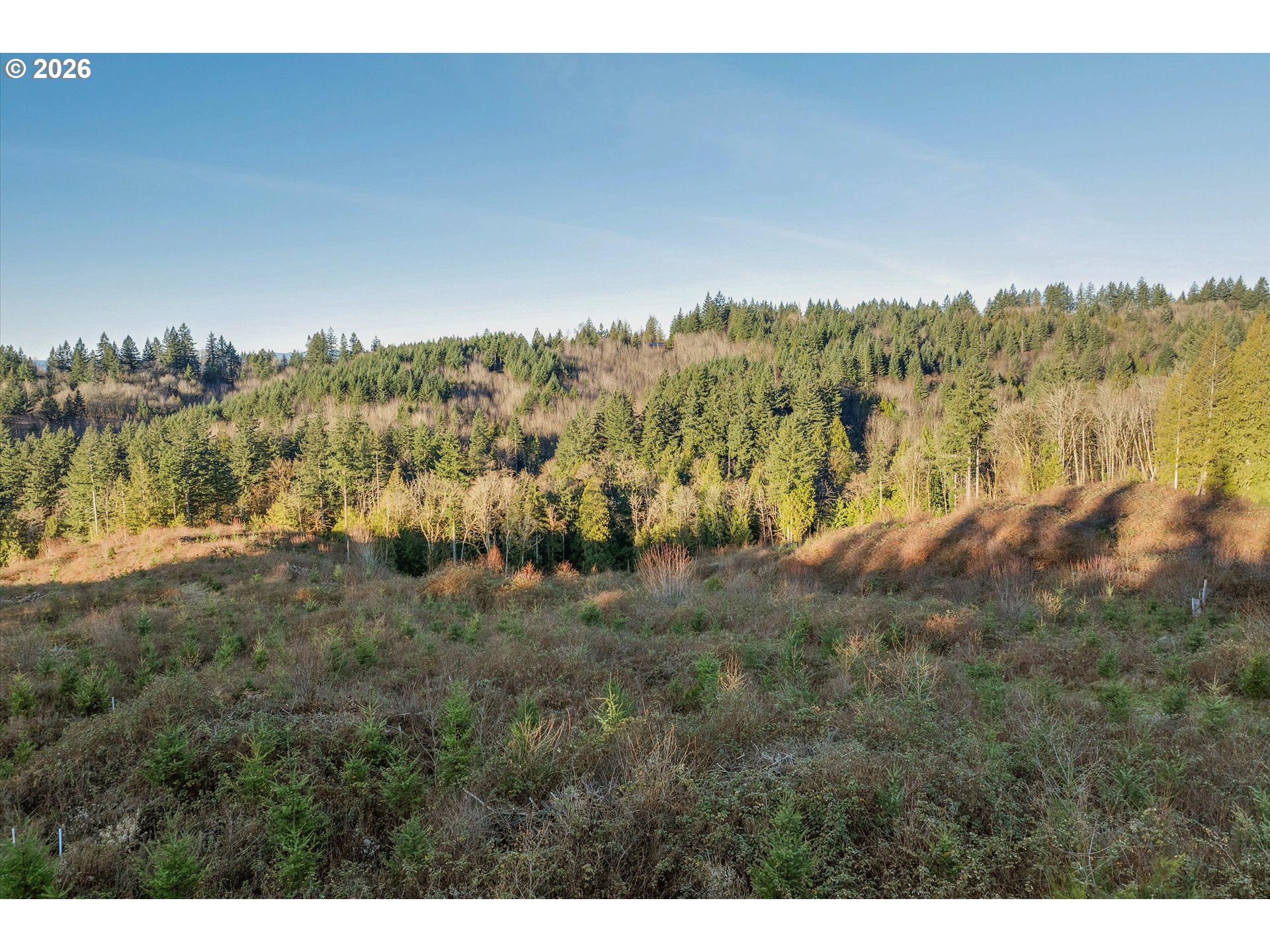 16424 Northwest Rock Creek Road Portland, OR 97231 - Photo 27 of 41