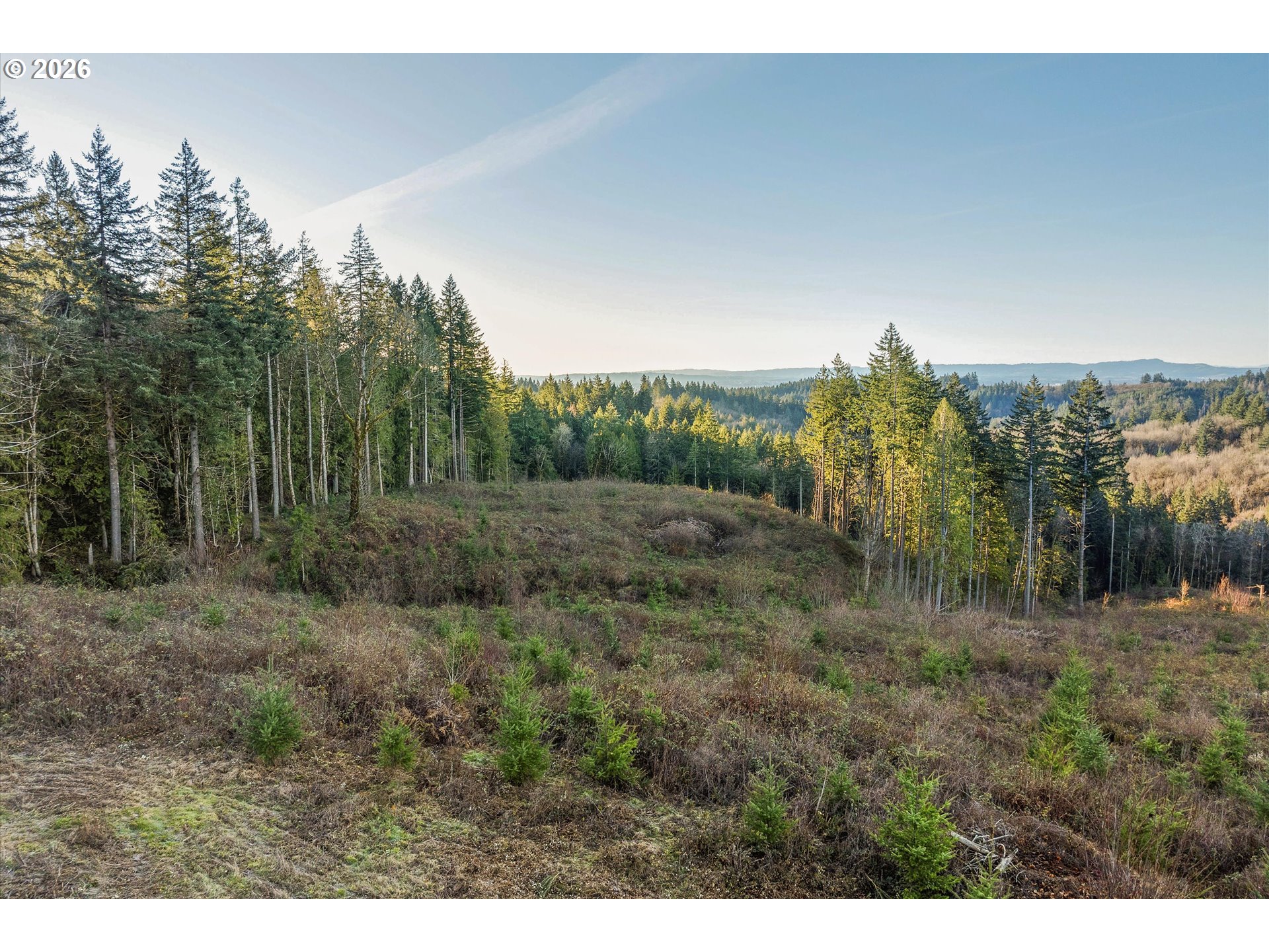 16424 Northwest Rock Creek Road Portland, OR 97231 - Photo 28 of 41