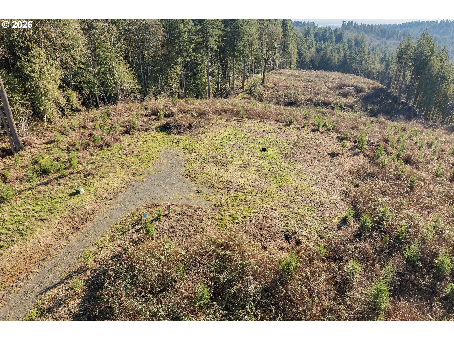 16424 Northwest Rock Creek Road Portland, OR 97231 - Photo 3 of 41