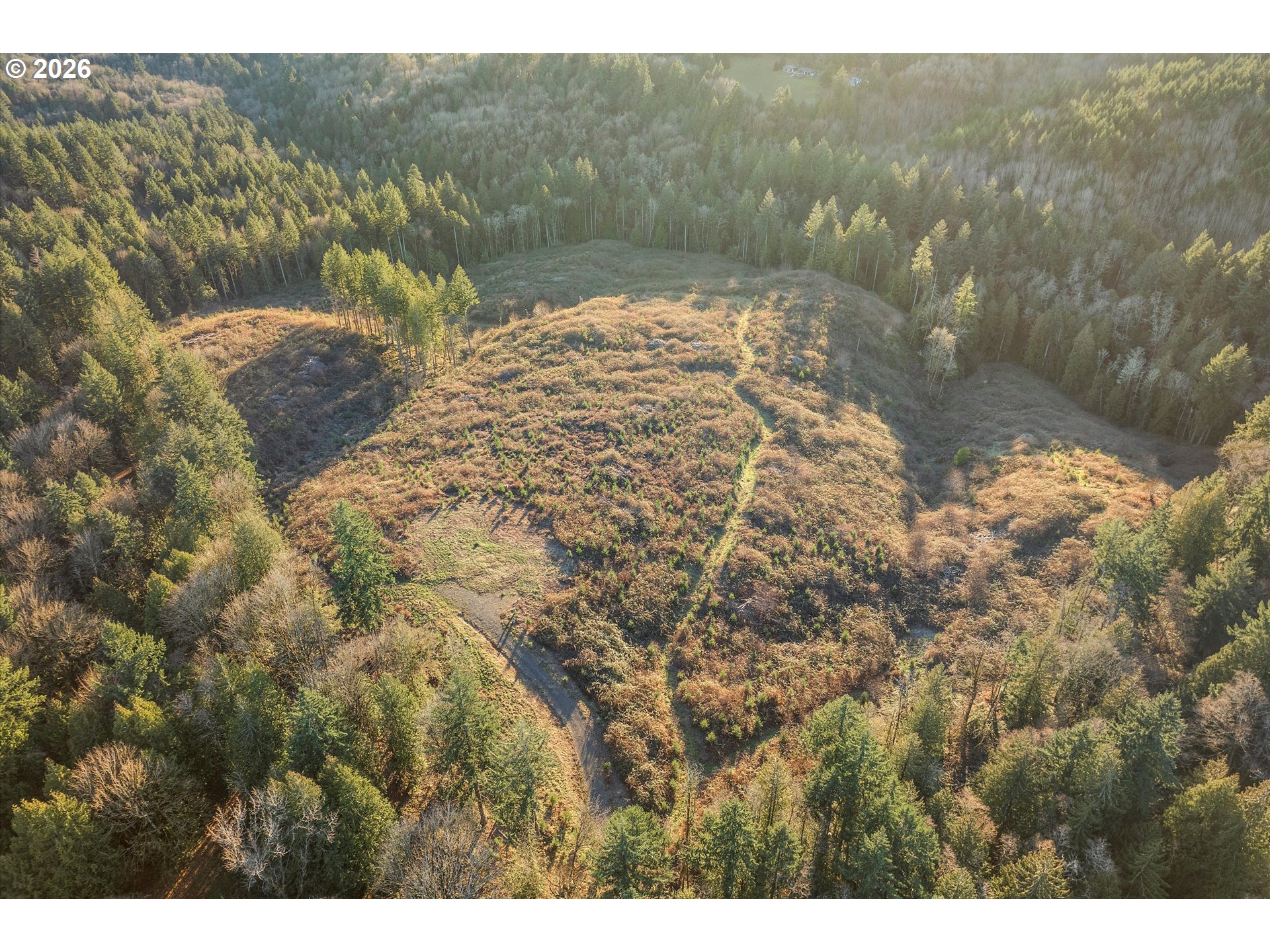 16424 Northwest Rock Creek Road Portland, OR 97231 - Photo 35 of 41