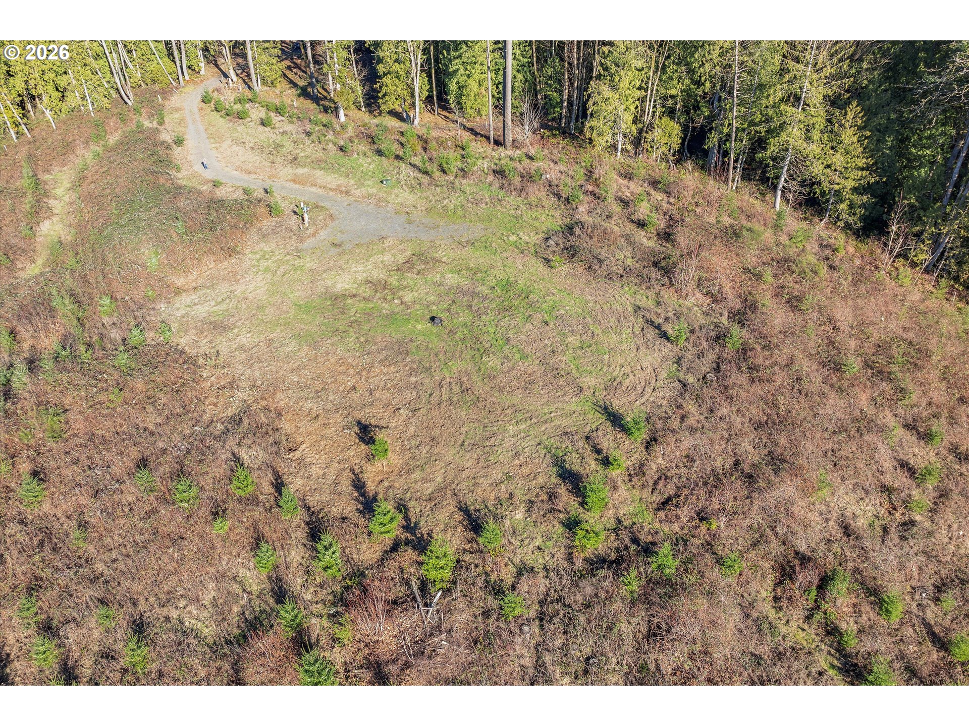 16424 Northwest Rock Creek Road Portland, OR 97231 - Photo 4 of 41