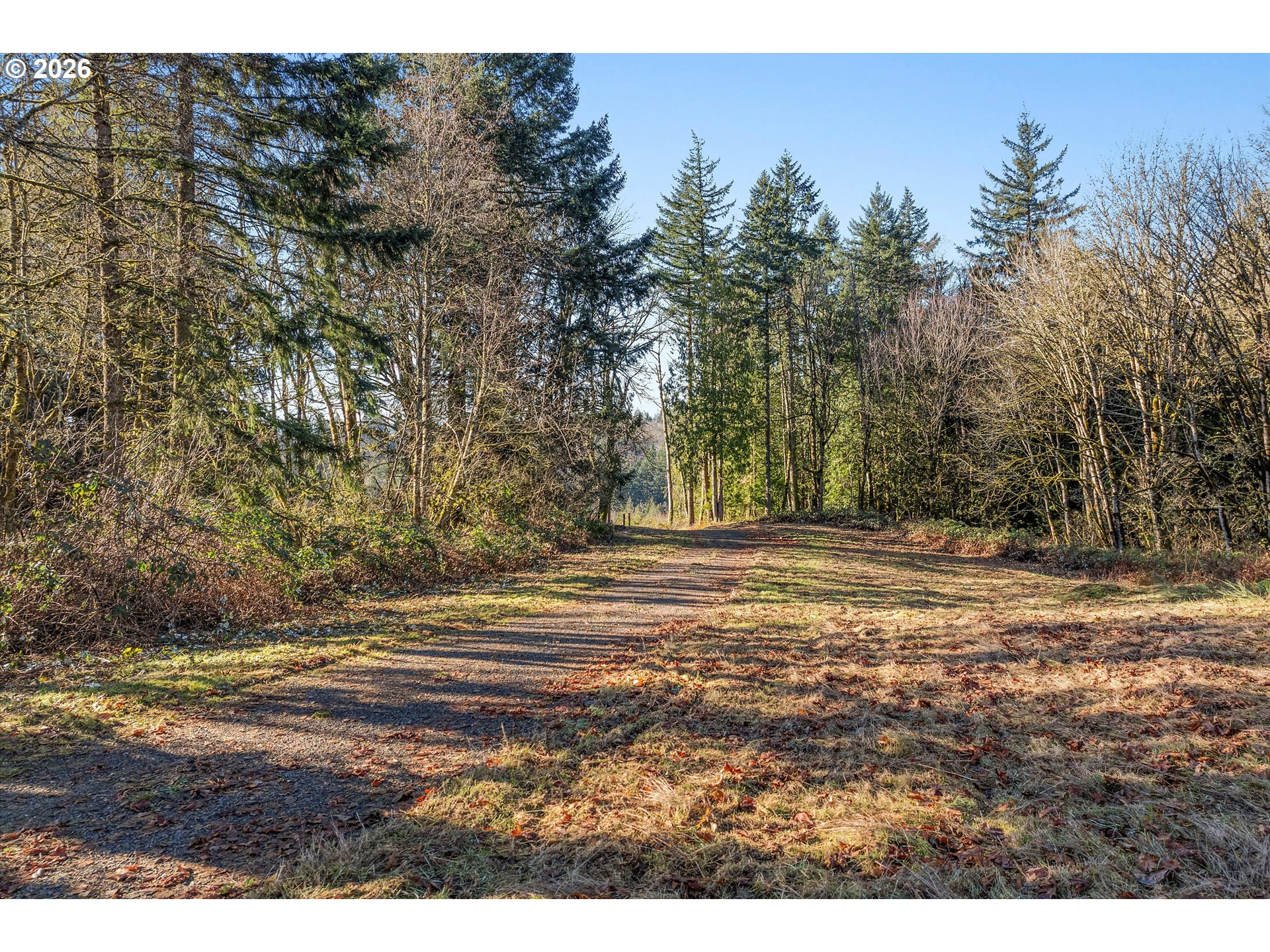 16424 Northwest Rock Creek Road Portland, OR 97231 - Photo 7 of 41