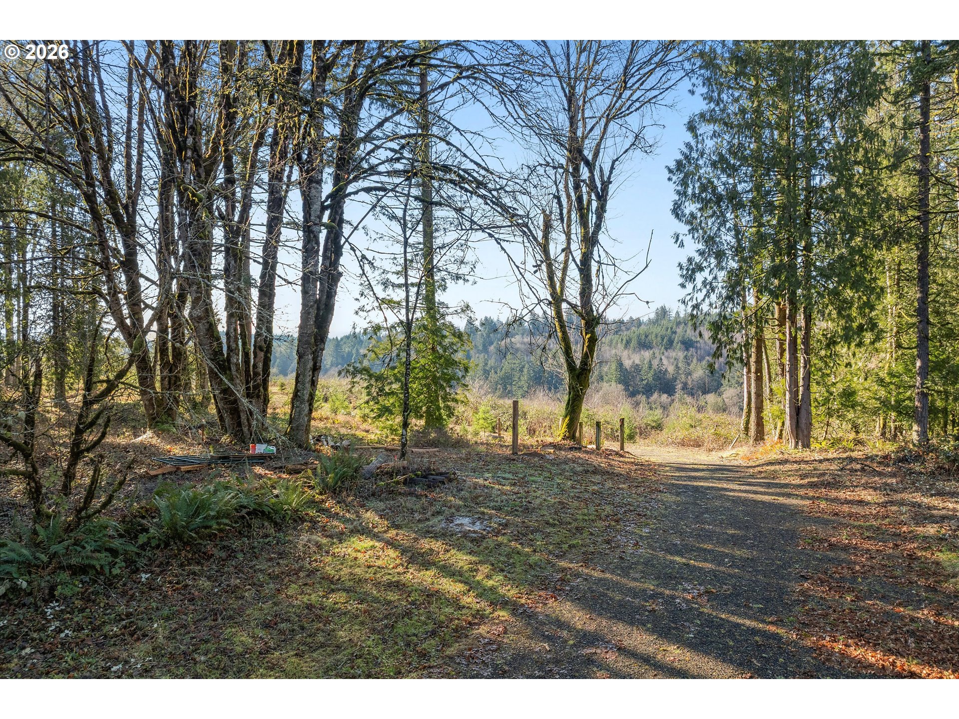 16424 Northwest Rock Creek Road Portland, OR 97231 - Photo 8 of 41