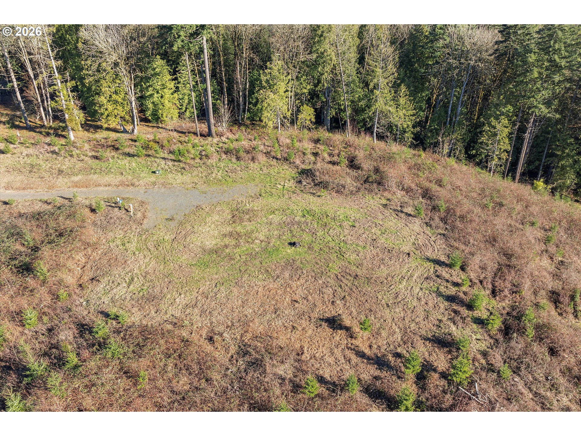 16424 Northwest Rock Creek Road Portland, OR 97231 - Photo 9 of 41