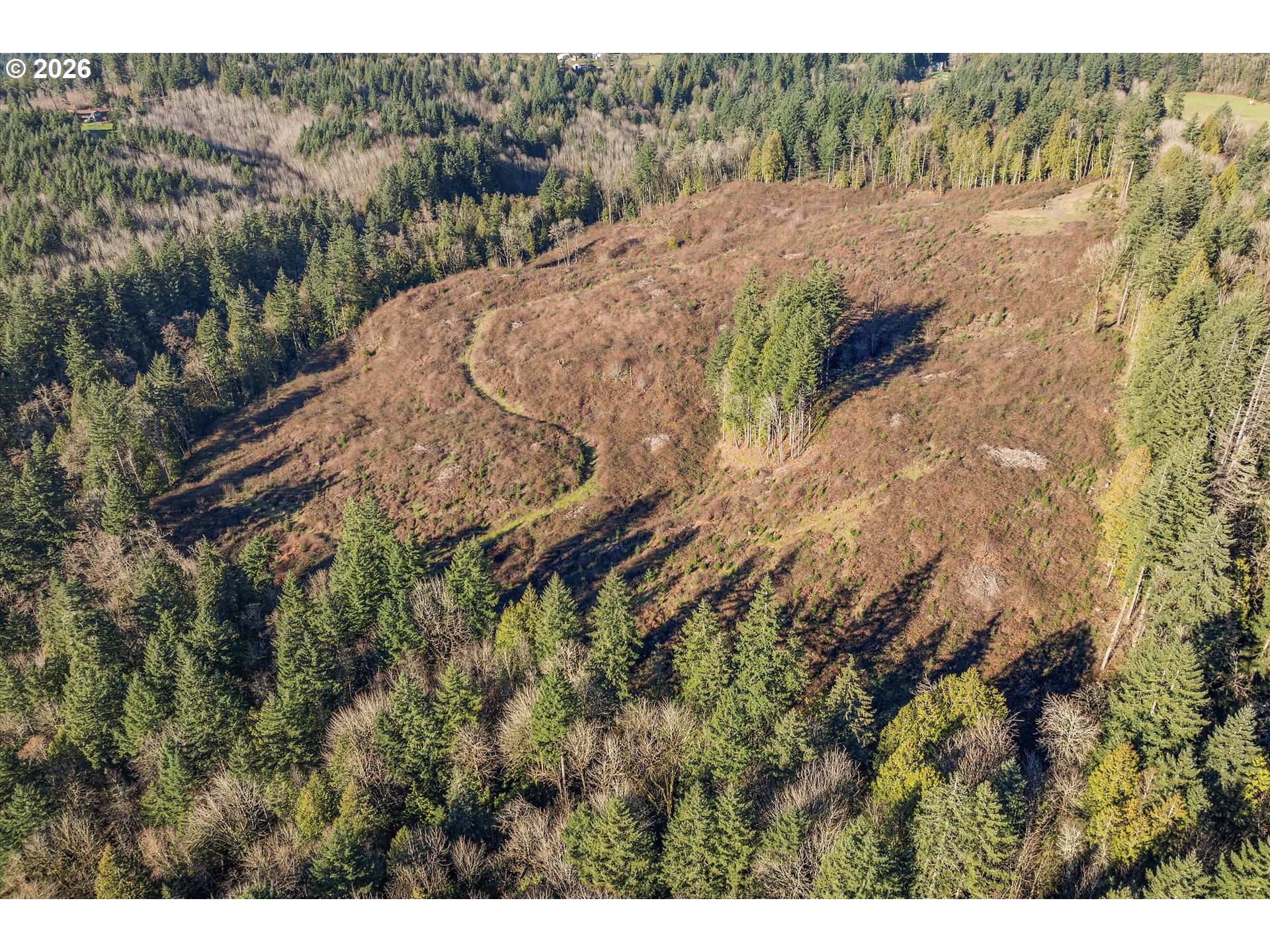 16424 Northwest Rock Creek Road Portland, OR 97231 - Photo 10 of 41