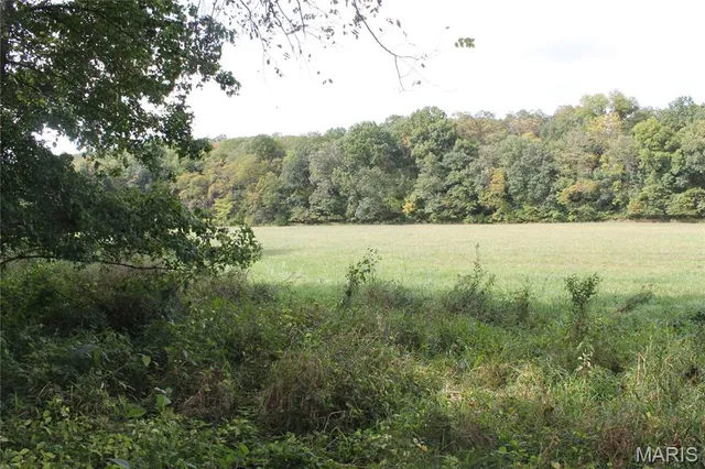 $842,500 | 180 Harris Road, Montgomery City, MO 63361