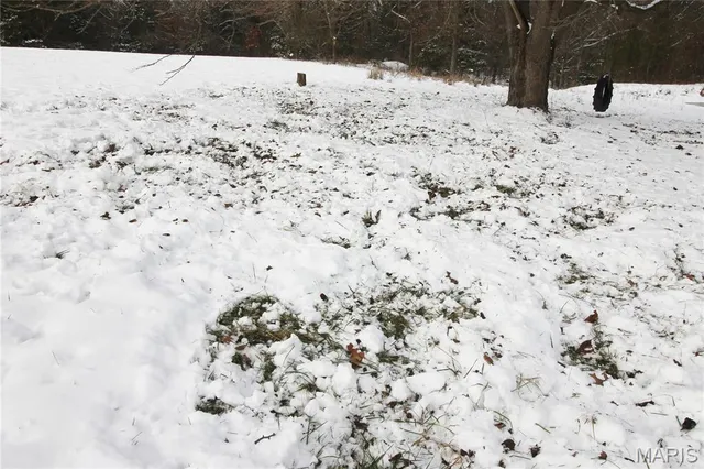 $842,500 | 180 Harris Road, Montgomery City, MO 63361