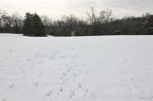 $842,500 | 180 Harris Road, Montgomery City, MO 63361