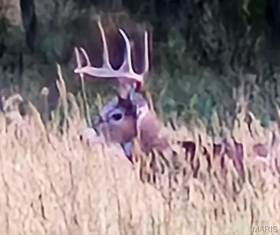 $842,500 | 180 Harris Road, Montgomery City, MO 63361