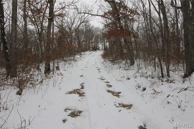 $842,500 | 180 Harris Road, Montgomery City, MO 63361