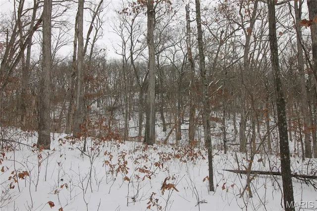 $842,500 | 180 Harris Road, Montgomery City, MO 63361