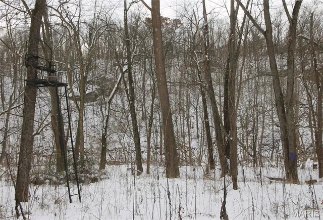 $842,500 | 180 Harris Road, Montgomery City, MO 63361