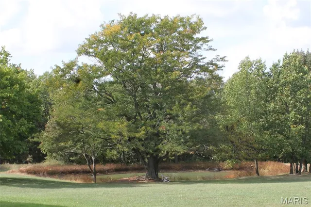 $842,500 | 180 Harris Road, Montgomery City, MO 63361