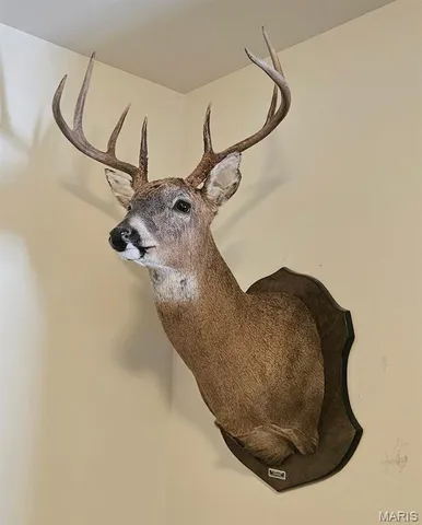 $842,500 | 180 Harris Road, Montgomery City, MO 63361