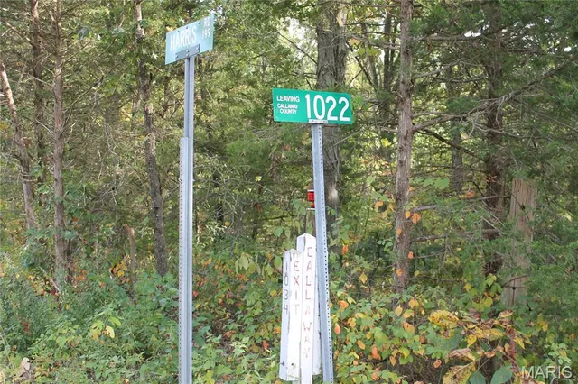 $842,500 | 180 Harris Road, Montgomery City, MO 63361