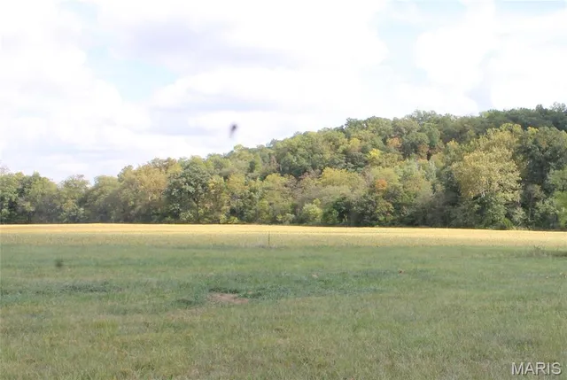 $842,500 | 180 Harris Road, Montgomery City, MO 63361