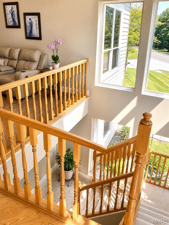 2004 Homefield Ridge Drive O'Fallon, MO 63366 - Photo 19 of 24