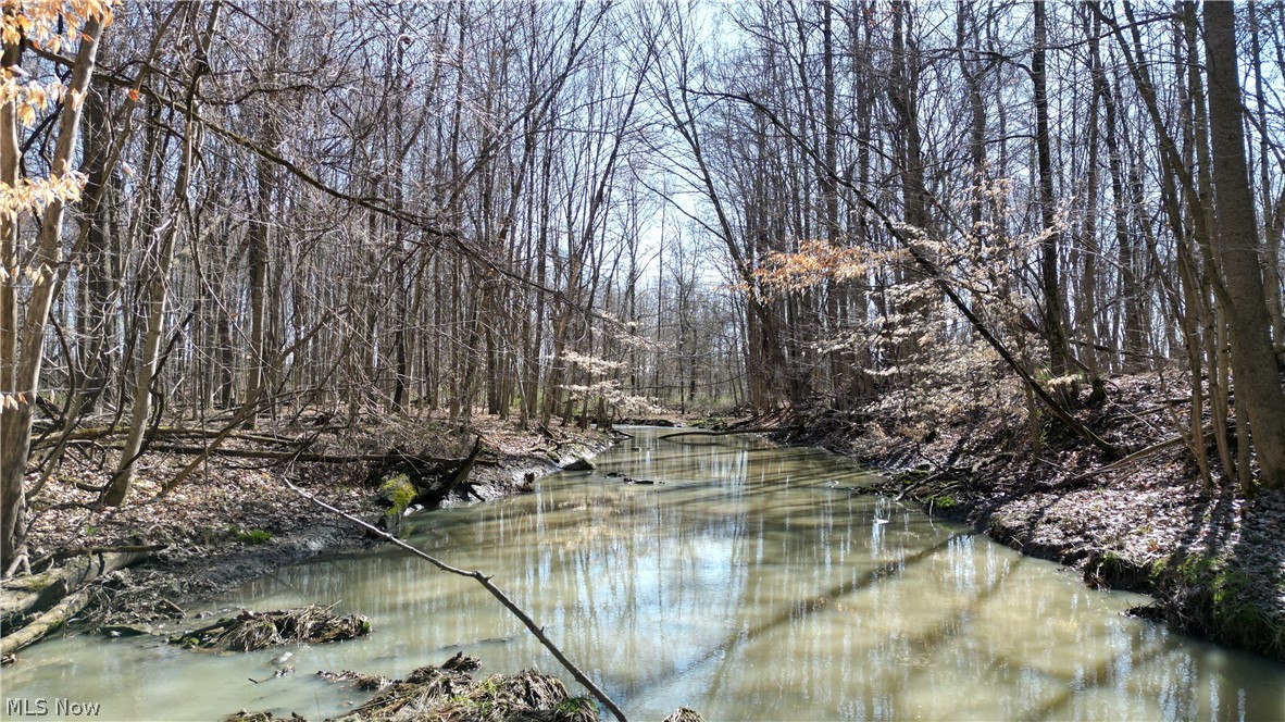 New State Road South Norwalk, OH 44857 - Photo 7 of 10 View of water view