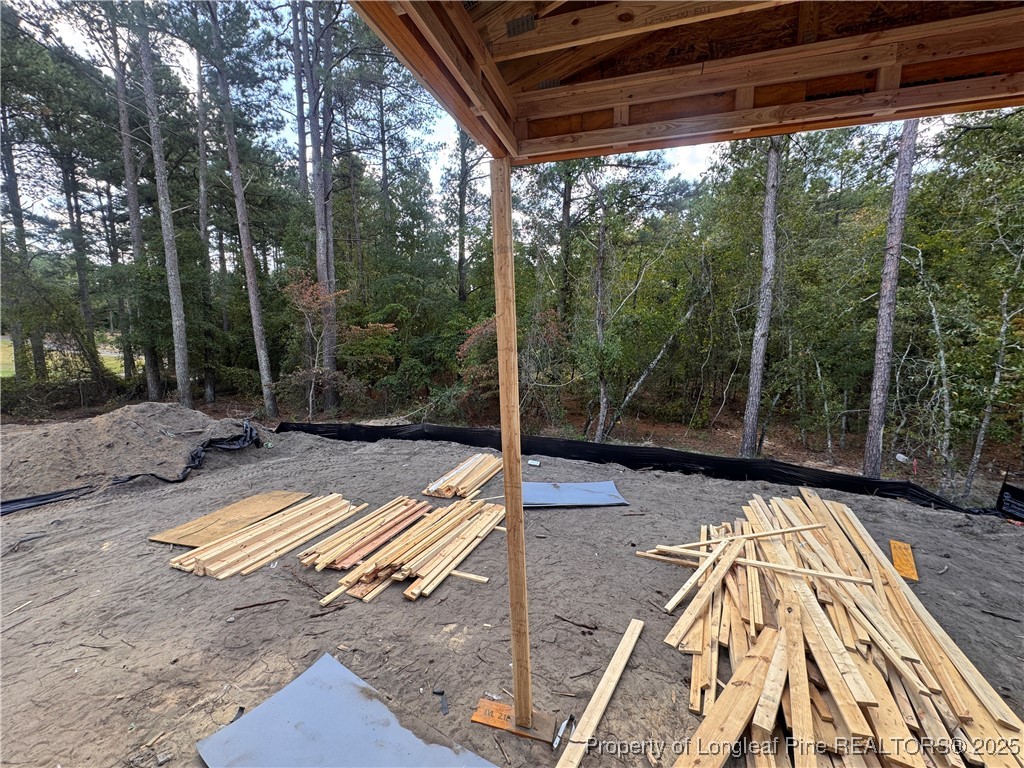 428 Redwater Trail Aberdeen, NC 28315 - Photo 38 of 48