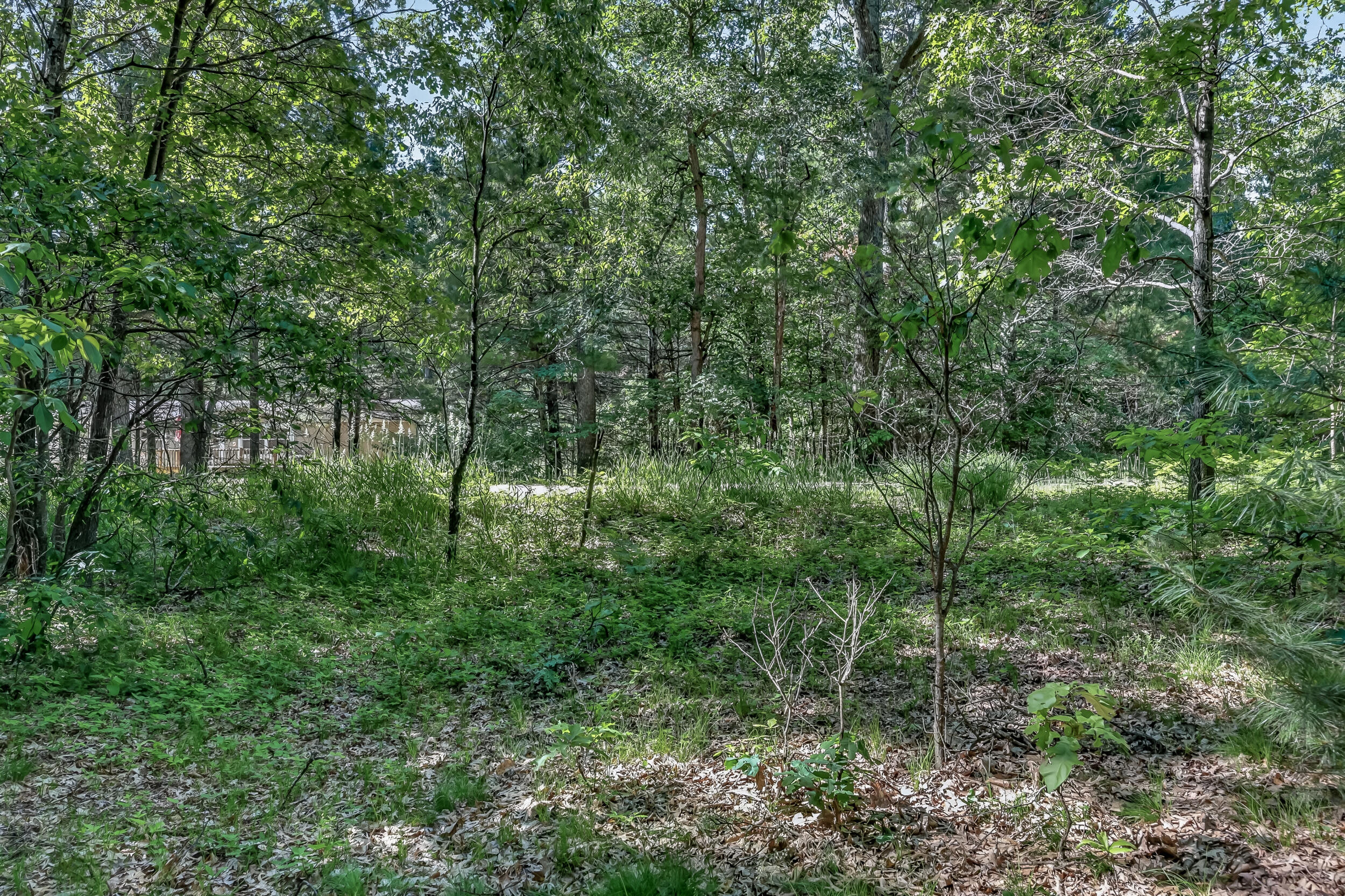 Vl West Michigan Road, Unit A Twin Lake, MI 49457 - Photo 5 of 15 527 w michigan parcel a-3