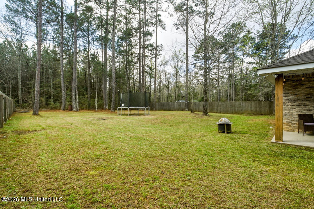 119 Hemingway Drive Sumrall, MS 39482 - Photo 19 of 21 Back Yard View 1