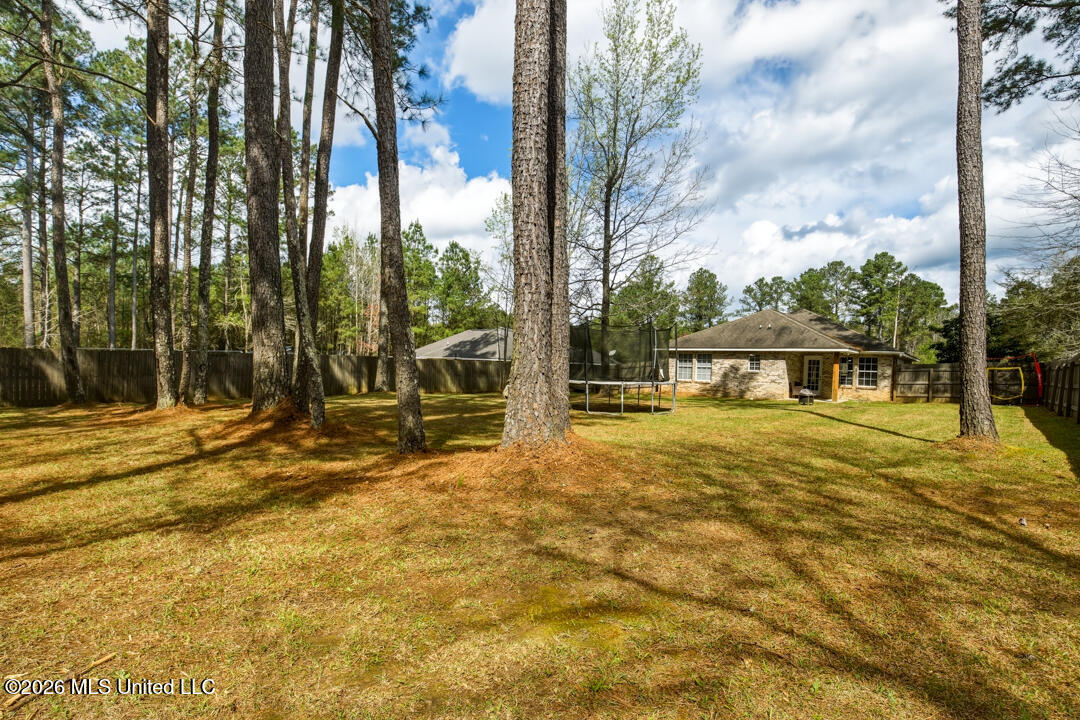119 Hemingway Drive Sumrall, MS 39482 - Photo 20 of 21 Back Yard View 2