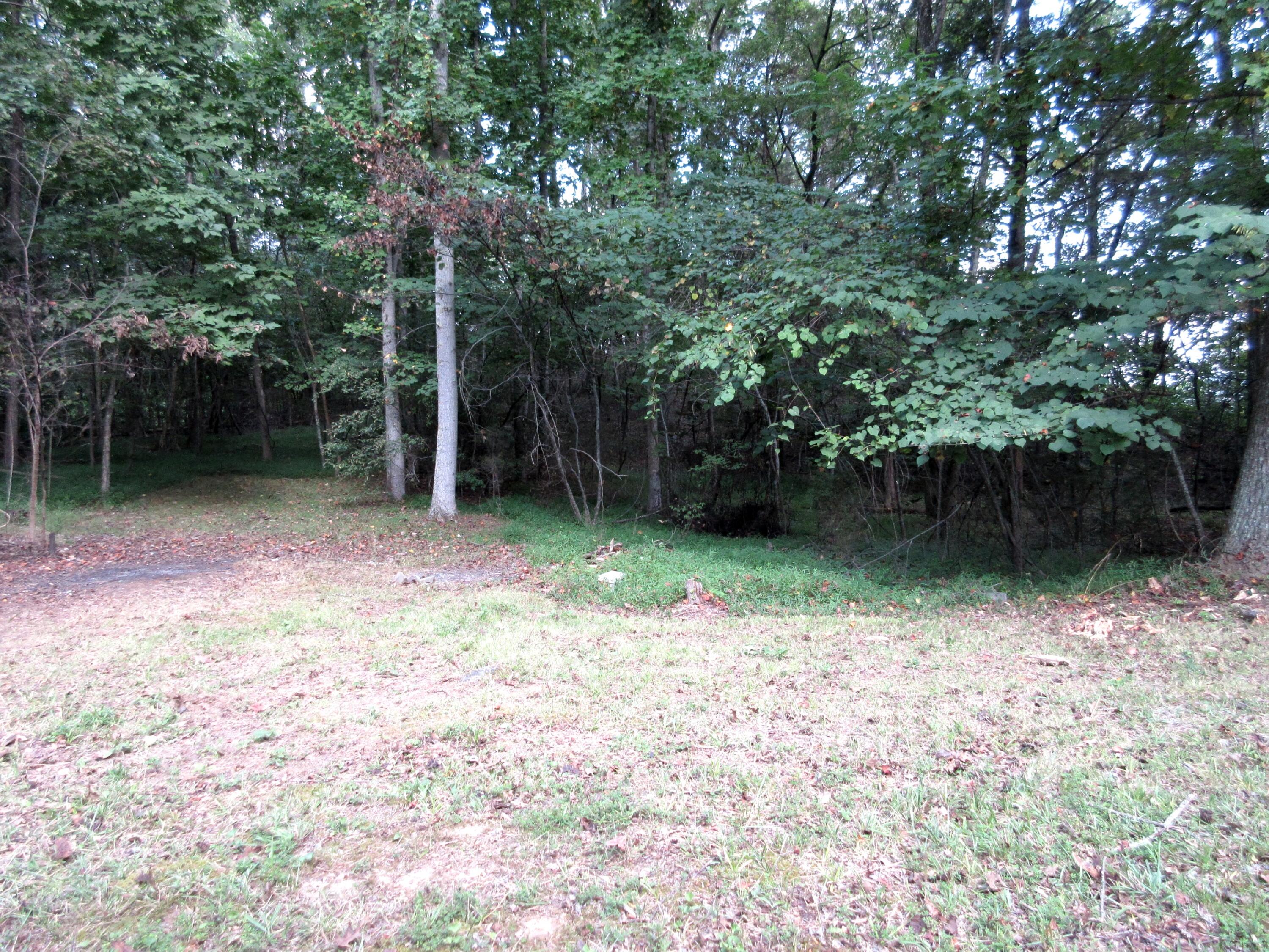 1161 Wahoo Valley Road Kingsport, TN 37663 - Photo 25 of 32 Back Acreage
