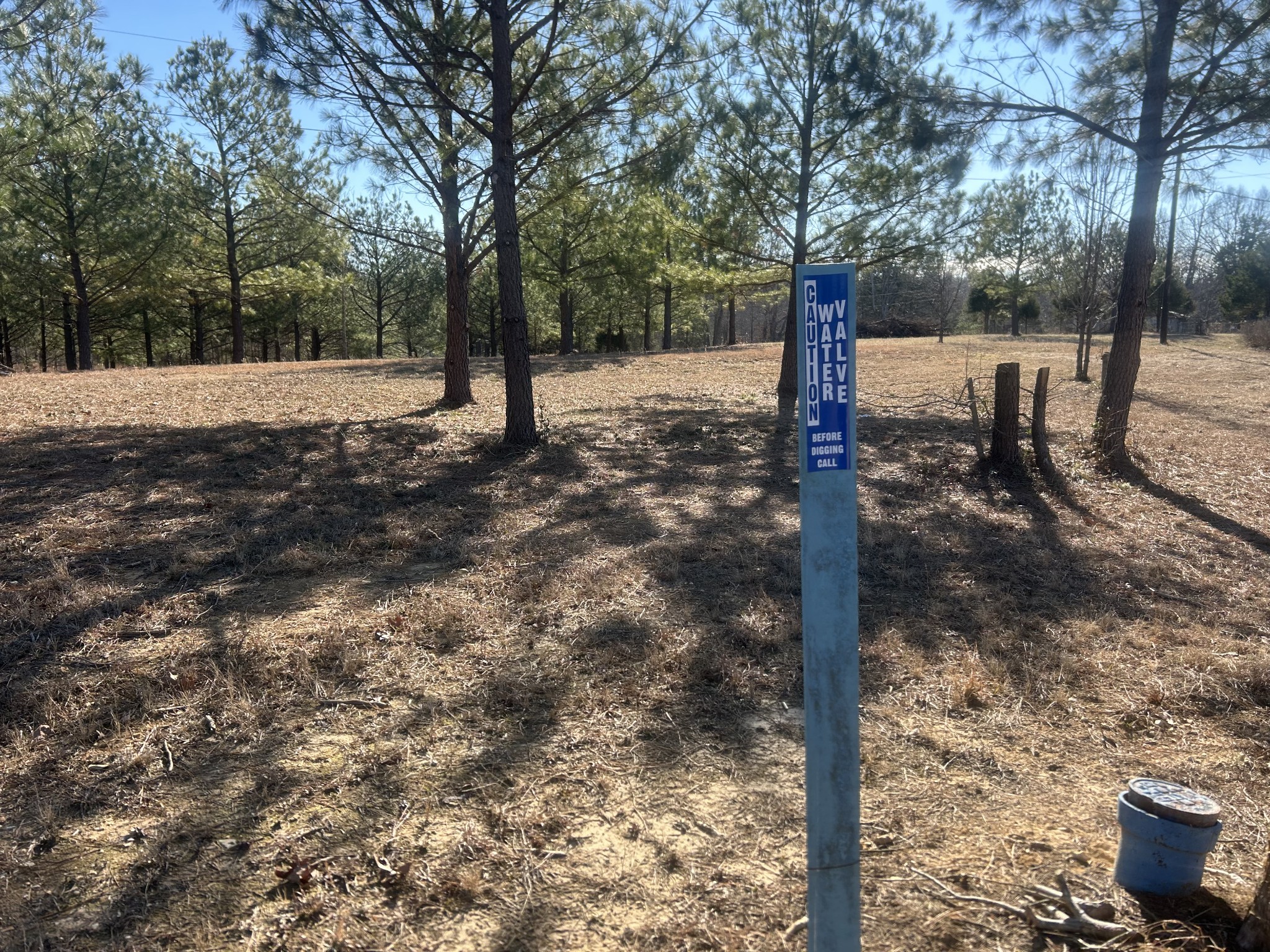 0 Deerwood Run Big Sandy, TN 38221 - Photo 2 of 7 a view of a tree with a yard