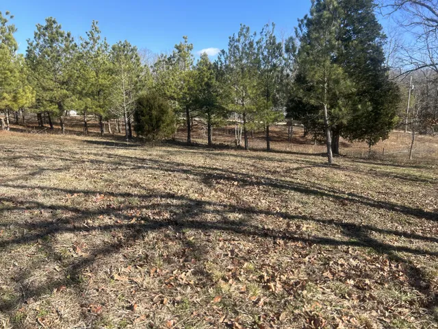 $39,900 | 0 Deerwood Run, Big Sandy, TN 38221