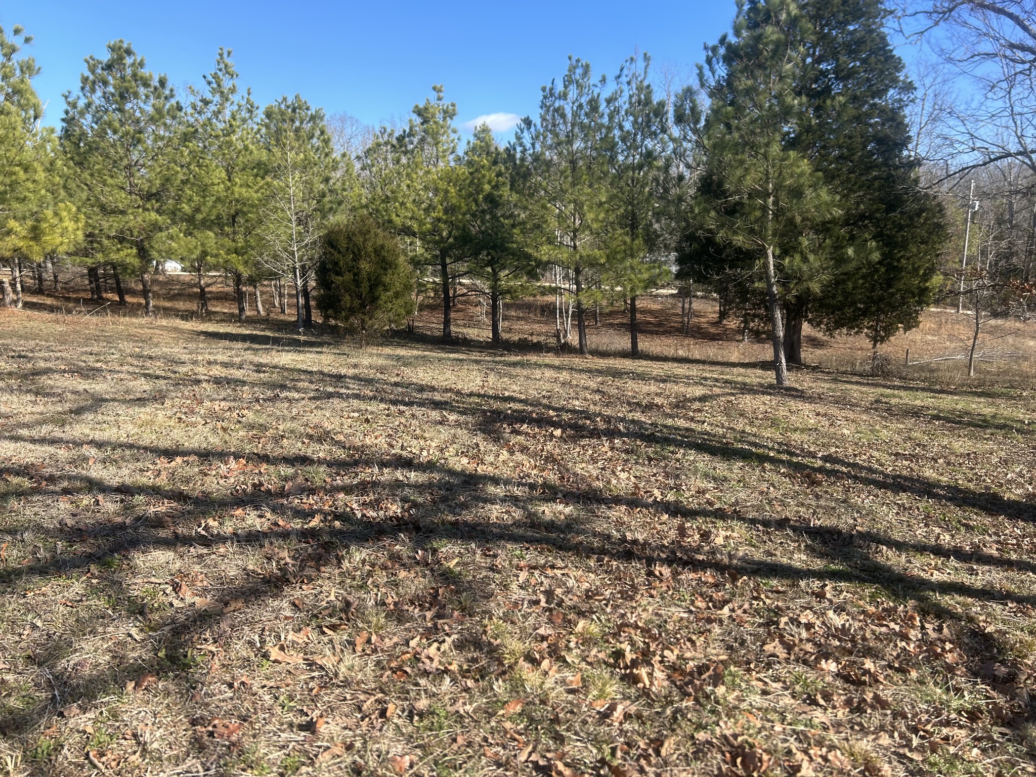 0 Deerwood Run Big Sandy, TN 38221 - Photo 3 of 7 a view of a yard with a trees